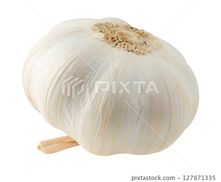 One head of raw garlic isolated on white background 127871335