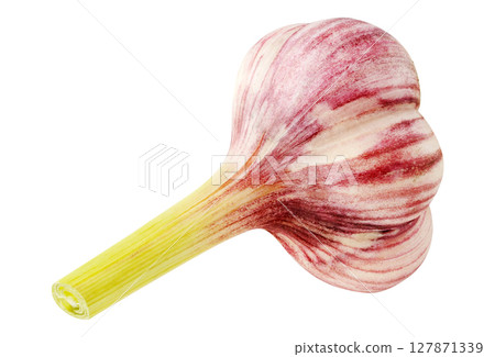 Raw purple garlic isolated on white background 127871339