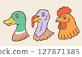 Vector set illustrations of turkey, chicken and duck heads in retro style. Vintage illustrations of turkey, rooster and duck 127871385