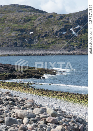 Rocky Arctic coastline with layered moss-covered stones, crashing waves, and rugged green hills in a nature reserve in Teriberka 127871535