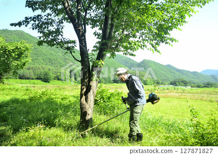 Seniors cutting grass with a lawnmower 127871827
