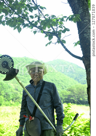 Seniors cutting grass with a lawnmower 127871839
