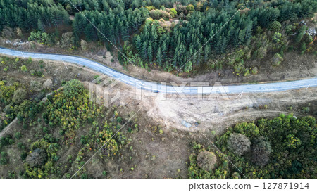 The car stopped on the side of a picturesque road that runs along a beautiful tall lush forest 127871914