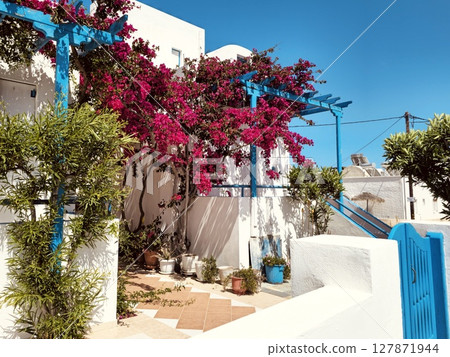 Bright pink bougainvillea, incredibly beautiful flowers on the Greek island of Santorini, cozy courtyard in Cycladic style 127871944