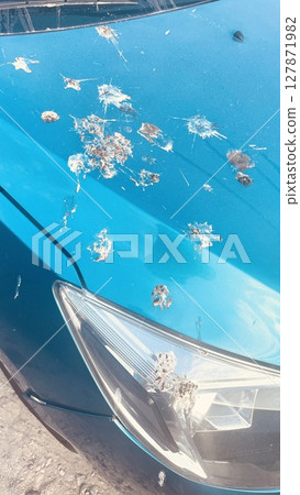A bright blue car covered in bird droppings, a sign of incoming money 127871982