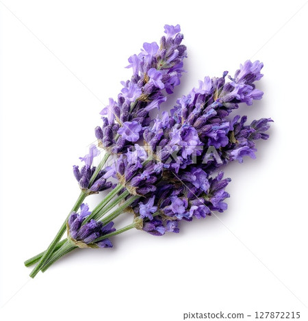 Lavender flowers on a white background highlighting nature's beauty and tranquility 127872215