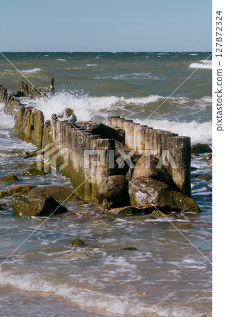 rocky beach with a wooden pier and a pond. The sky is clear and blue.  127872324