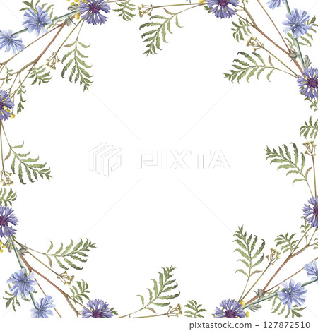 Watercolor frame of cornflower, tansy,chicory . Hand-drawn clip-art on white background. Delicate realistic images of Medicinal herbs for packaging, textiles, printing, holiday cards, wedding, menu Watercolor frame of cornflower, tansy,chicory . Hand-drawn clip-art on white background. Delicate realistic images of Medicinal herbs for packaging, textiles, printing, holiday cards, wedding, menu 127872510