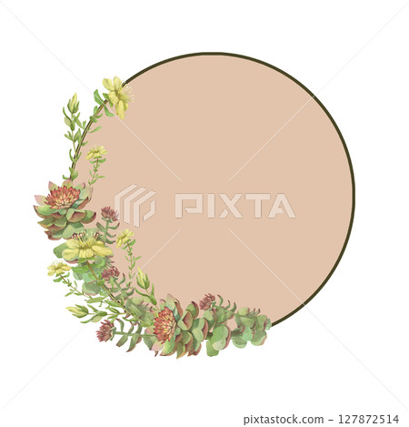 Watercolor frame of Rhodiola rosea and Hypericum. Hand-drawn clip-art on white background. Delicate realistic images of herbs for packaging, textiles, printing, holiday cards,wedding,menu 127872514
