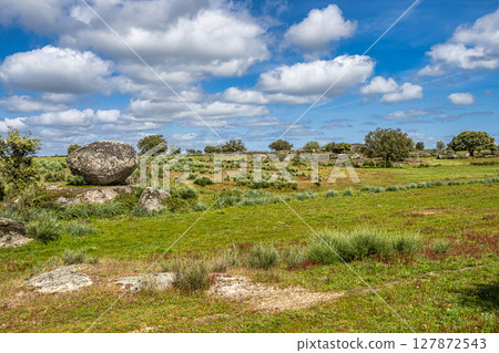 Driving with the car through the Alentejo in Portugal. Area around Nisa and Castelo de Vide 127872543