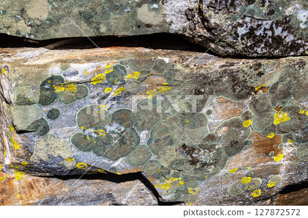 Rock paintings in Junco Valley, Arronches, Alentejo, Portugal Rock paintings in Junco Valley, Arronches, Alentejo, Portugal 127872572
