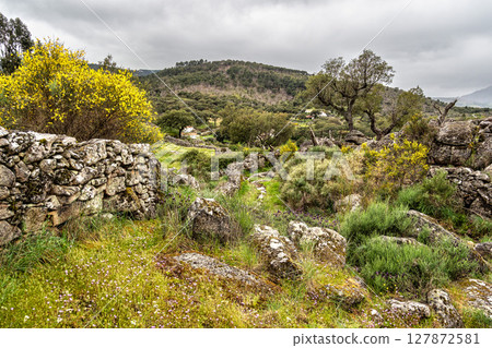 Hiking a walking route at Portalegre, Portugal. Percurso Pedestre de Galegos Hiking a walking route at Portalegre, Portugal. Percurso Pedestre de Galegos 127872581