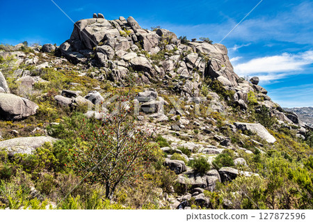 Walking around the Penameda hill in national park Peneda Geres in Portugal. 127872596