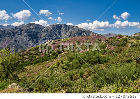 Landscape view of the Peneda Geres National Park in Portugal. Area betweeen Cabril und Ruivaes 127872612