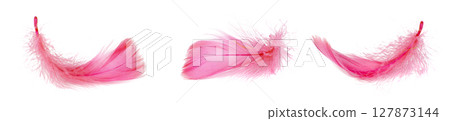 Set of fluffy feathers isolated on white Set of fluffy feathers isolated on white 127873144