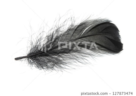 Beautiful black feather isolated on white background Beautiful black feather isolated on white background 127873474