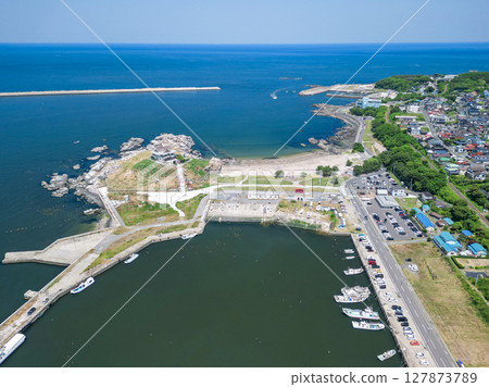 青森縣 無人機空拍蕪島、種差海灘附近的黑尾鷗繁殖地 127873789