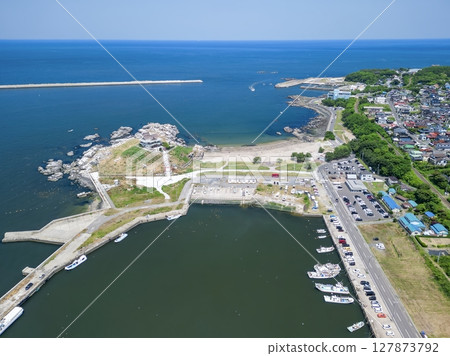 "Aomori Prefecture" Drone takes aerial photographs of black-tailed gull breeding ground near Kabushima, Tanesashi Beach 127873792