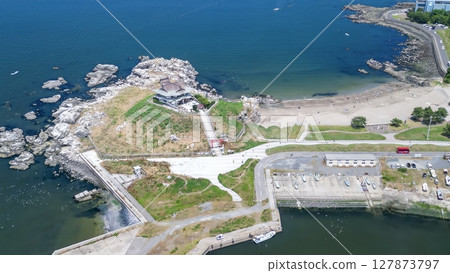 "Aomori Prefecture" Drone takes aerial photographs of black-tailed gull breeding ground near Kabushima, Tanesashi Beach 127873797