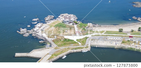 青森縣 無人機空拍蕪島、種差海灘附近的黑尾鷗繁殖地 127873800