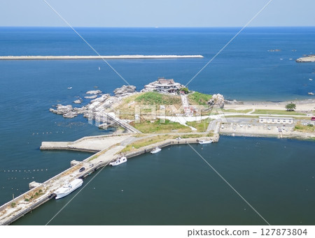 "Aomori Prefecture" Drone takes aerial photographs of black-tailed gull breeding ground near Kabushima, Tanesashi Beach 127873804