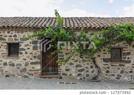 Old stone facade with lush grapevine Old stone facade with lush grapevine 127873992