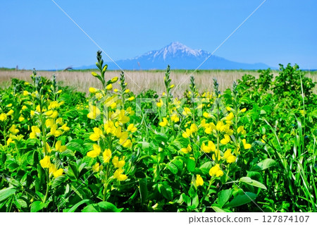 Sarobetsu Plain Scenery Sarobetsu Plain Scenery 127874107