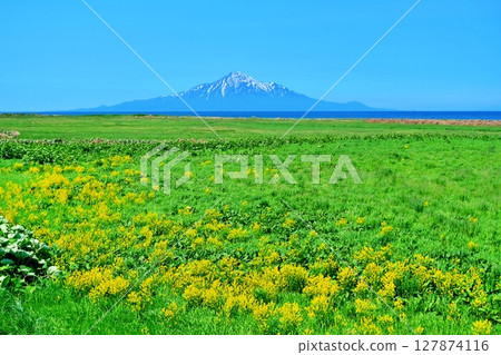佐呂別平原風景 127874116