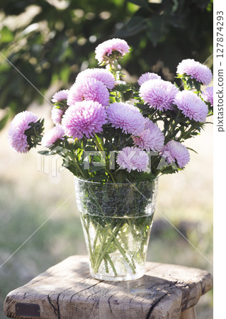 bouquet of asters in the summer garden bouquet of asters in the summer garden 127874293
