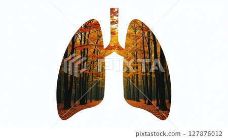 Forest shaped like human lungs, nature's vital organ, transforms CO2 to oxygen. Essential for life, it's Earth's breathing apparatus 127876012