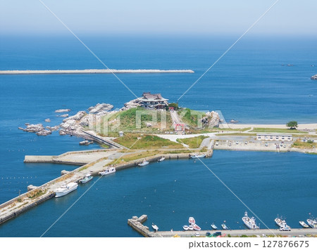 "Aomori Prefecture" Drone takes aerial photographs of black-tailed gull breeding ground near Kabushima, Tanesashi Beach 127876675