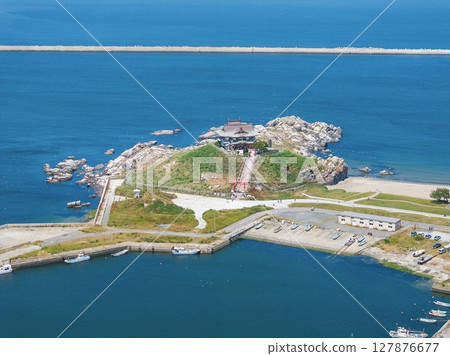 "Aomori Prefecture" Drone takes aerial photographs of black-tailed gull breeding ground near Kabushima, Tanesashi Beach 127876677