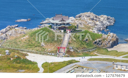 "Aomori Prefecture" Drone takes aerial photographs of black-tailed gull breeding ground near Kabushima, Tanesashi Beach 127876679
