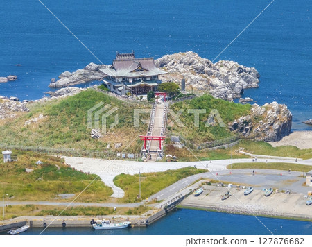"Aomori Prefecture" Drone takes aerial photographs of black-tailed gull breeding ground near Kabushima, Tanesashi Beach 127876682