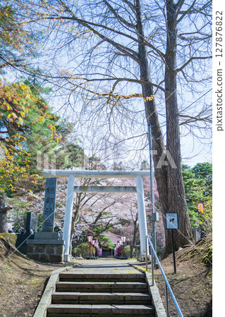青森縣三戶町三戶城國家史跡城山公園櫻花盛開 127876822