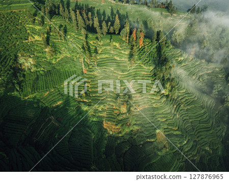 Aerial view of beautiful tea terrace landscape in China 127876965