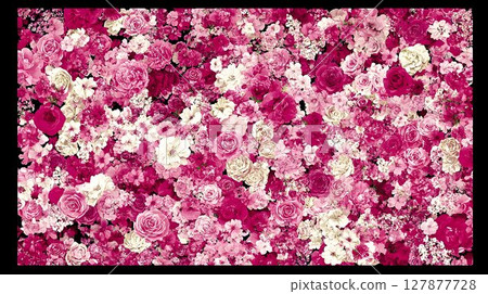Floral background pink and white flowers lush blossom texture romantic design Floral background pink and white flowers lush blossom texture romantic design 127877728