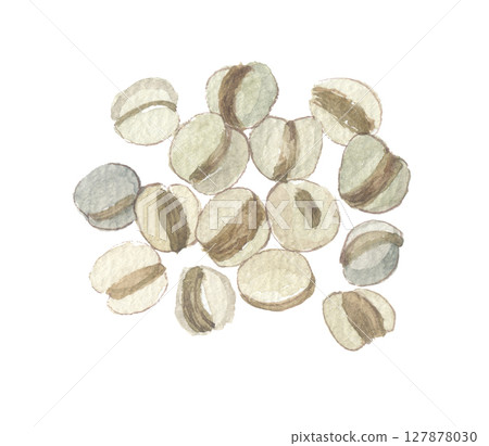 Pearl barley painted in watercolor 127878030