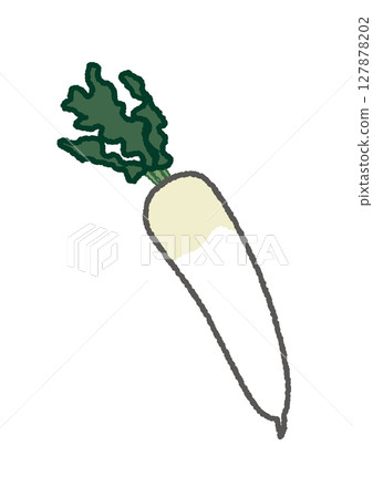 日本蘿蔔的插圖 127878202