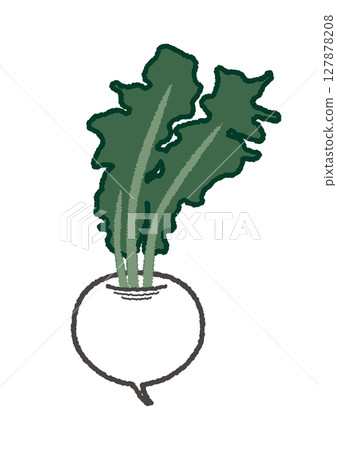 蘿蔔的插圖 127878208