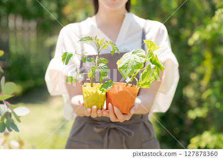 Woman holding vegetable seedlings Woman holding vegetable seedlings 127878360