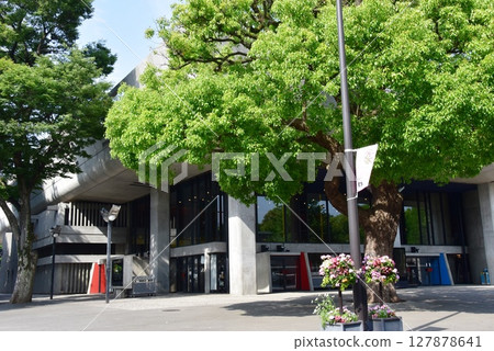 東京文化中心和台東區上野公園的新綠 東京文化中心和台東區上野公園的新綠 127878641