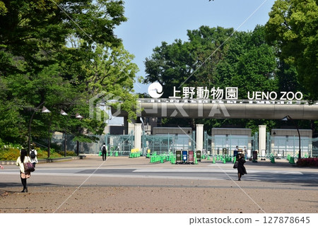 Taito Ward: Fresh greenery at Ueno Park and Ueno Zoo Taito Ward: Fresh greenery at Ueno Park and Ueno Zoo 127878645