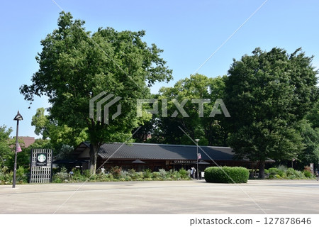 台東區上野公園的新鮮綠地和咖啡館 127878646