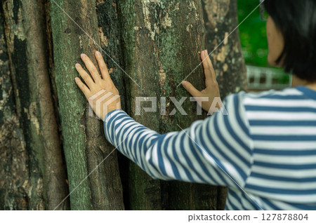 Woman touching tree trunk with hands. Forest bathing therapy for natural healing and mindful reconnection with nature. Wellness retreat. Forest bathing meditation and sustainable wellness grounding. 127878804