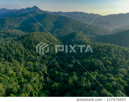 Aerial drone view of dense green forest mountain capture CO2. Carbon neutrality and net zero emissions concept for environmental sustainability and corporate responsibility. Biodiversity conservation. 127878841