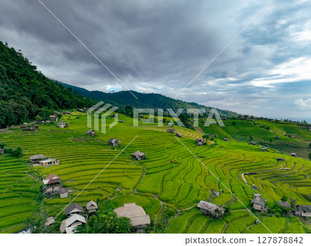Aerial view of vibrant rice terraces stretching through forested hills and remote valleys in northern Thailand. Organic farming, village life, and green development for tourism. Nature lovers. 127878842