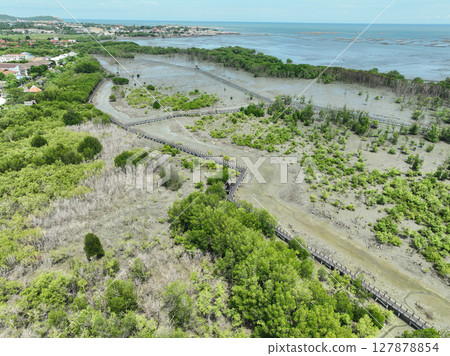 Aerial view of extensive wooden boardwalk system winding through pristine mangrove wetlands, creating sustainable eco-tourism infrastructure for nature education and wildlife conservation 127878854