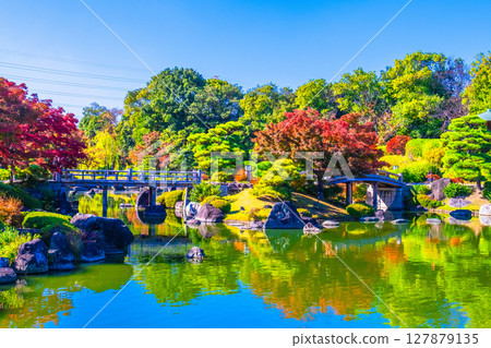 Autumn leaves at Daisen Park Japanese garden 127879135