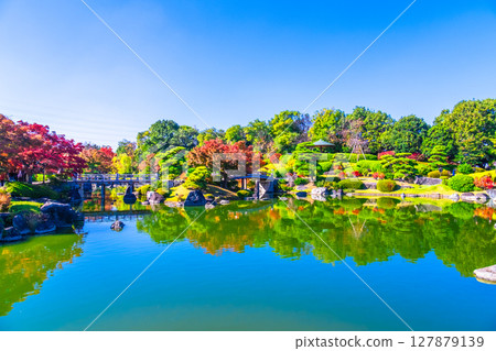 大仙公園日本花園的秋葉 127879139